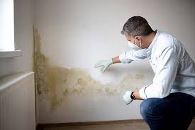 Best Environmental Consulting for Mold Prevention  in Marlton, NJ